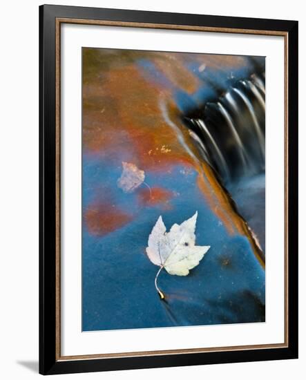 Leaf Floating in Fall Reflections, Bond Falls, Upper Peninsula, Michigan, USA-Nancy Rotenberg-Framed Photographic Print