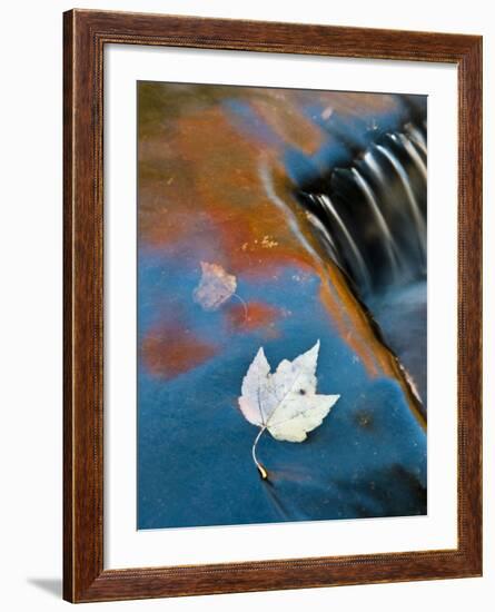 Leaf Floating in Fall Reflections, Bond Falls, Upper Peninsula, Michigan, USA-Nancy Rotenberg-Framed Photographic Print