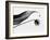 Leaf & flower-Panoramic Images-Framed Photographic Print