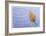 Leaf Frozen in Ice-Donald Paulson-Framed Giclee Print