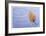 Leaf Frozen in Ice-Donald Paulson-Framed Giclee Print