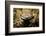 Leaf Gecko, Madagascar-Paul Souders-Framed Photographic Print