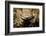 Leaf Gecko, Madagascar-Paul Souders-Framed Photographic Print