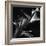 Leaf, Hawaii, c. 1980-Brett Weston-Framed Photographic Print