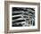 Leaf, Hawaii, c. 1985-Brett Weston-Framed Photographic Print