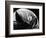 Leaf, Hawaii, c. 1985-Brett Weston-Framed Photographic Print