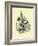 Leaf I-Jasmine Woods-Framed Art Print