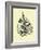 Leaf I-Jasmine Woods-Framed Art Print