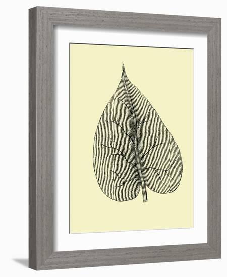 Leaf I-Jasmine Woods-Framed Art Print