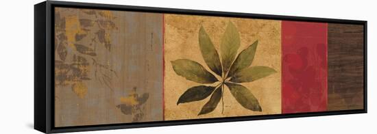 Leaf Impressions I-Andrew Michaels-Framed Stretched Canvas