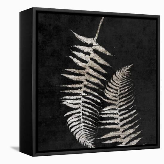 Leaf In The Moment 1-Sheldon Lewis-Framed Stretched Canvas