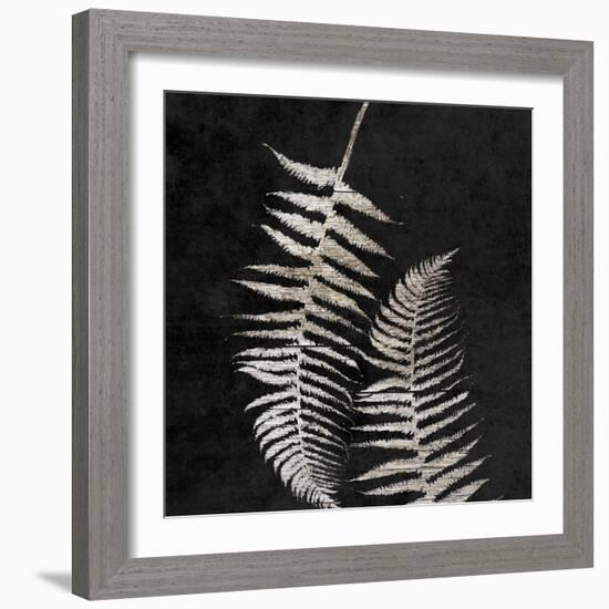 Leaf In The Moment 1-Sheldon Lewis-Framed Art Print