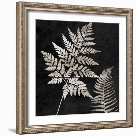 Leaf In The Moment 2-Sheldon Lewis-Framed Art Print