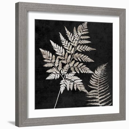 Leaf In The Moment 2-Sheldon Lewis-Framed Art Print