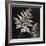 Leaf In The Moment 2-Sheldon Lewis-Framed Art Print