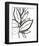 Leaf Instinct I-June Vess-Framed Art Print