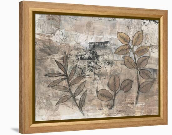 Leaf Motif II-Tim OToole-Framed Stretched Canvas