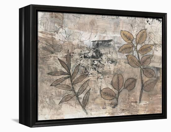 Leaf Motif II-Tim OToole-Framed Stretched Canvas