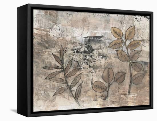 Leaf Motif II-Tim OToole-Framed Stretched Canvas