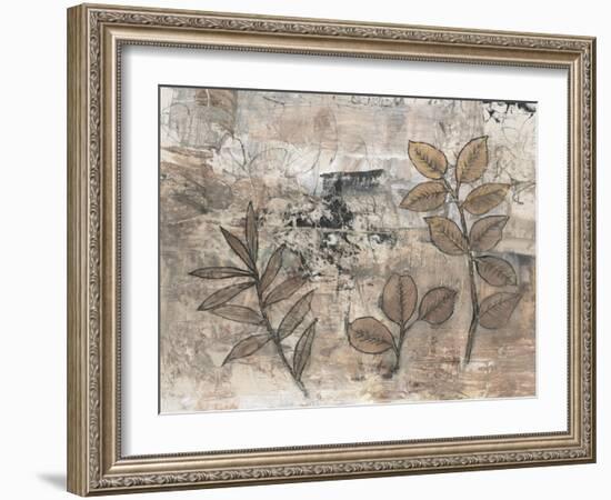 Leaf Motif II-Tim OToole-Framed Art Print