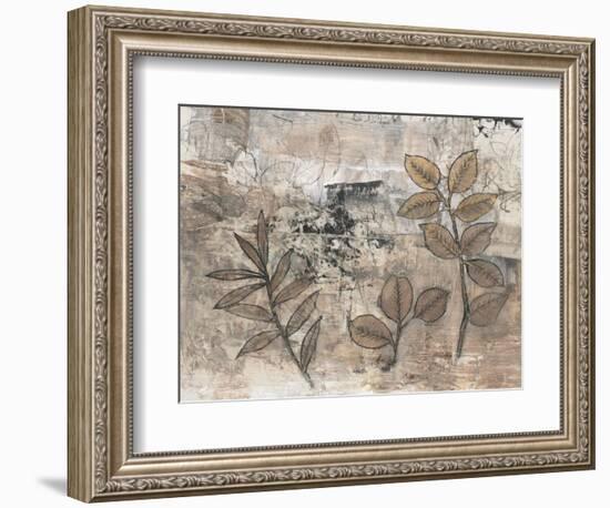 Leaf Motif II-Tim OToole-Framed Premium Giclee Print