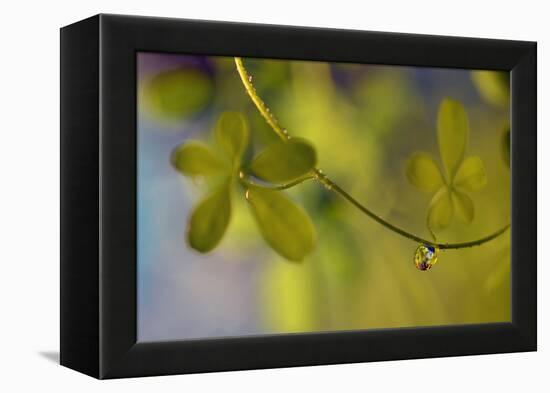 Leaf Necklace-Heidi Westum-Framed Premier Image Canvas