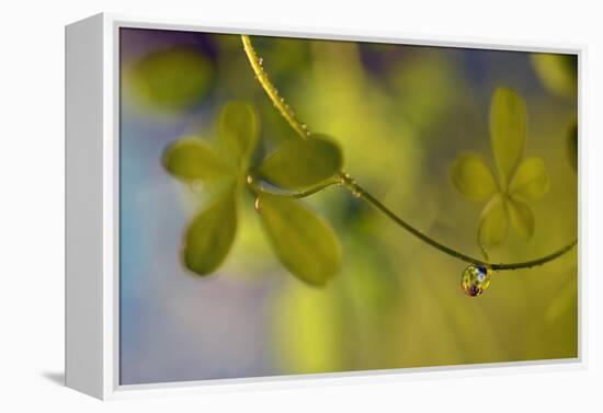 Leaf Necklace-Heidi Westum-Framed Premier Image Canvas