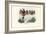 Leaf-Nosed Bats, 1863-79-Raimundo Petraroja-Framed Giclee Print