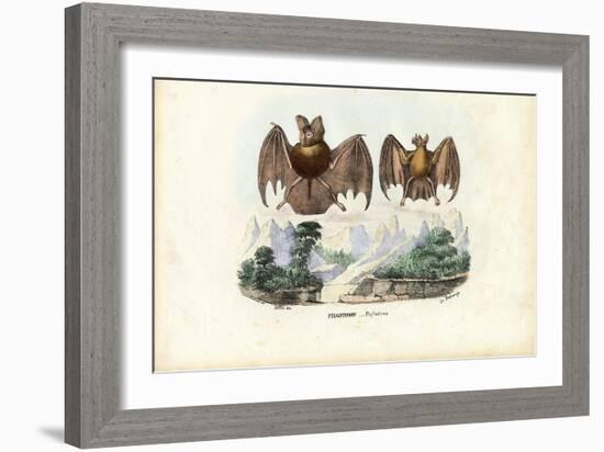 Leaf-Nosed Bats, 1863-79-Raimundo Petraroja-Framed Giclee Print