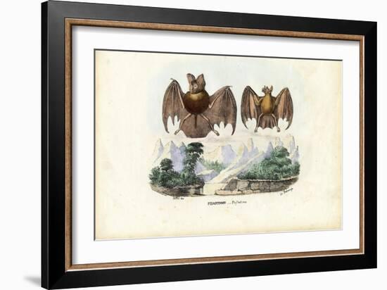 Leaf-Nosed Bats, 1863-79-Raimundo Petraroja-Framed Giclee Print