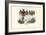 Leaf-Nosed Bats, 1863-79-Raimundo Petraroja-Framed Giclee Print