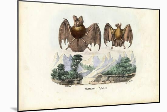 Leaf-Nosed Bats, 1863-79-Raimundo Petraroja-Mounted Giclee Print