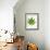 Leaf of Marijuana Plant, Cannabis Sativa-Victor De Schwanberg-Framed Photographic Print displayed on a wall