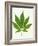 Leaf of Marijuana Plant, Cannabis Sativa-Victor De Schwanberg-Framed Photographic Print