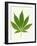 Leaf of Marijuana Plant, Cannabis Sativa-Victor De Schwanberg-Framed Photographic Print