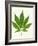 Leaf of Marijuana Plant, Cannabis Sativa-Victor De Schwanberg-Framed Photographic Print