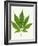 Leaf of Marijuana Plant, Cannabis Sativa-Victor De Schwanberg-Framed Photographic Print