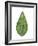 Leaf of Saucer Magnolia Magnolia X Soulangeana-null-Framed Giclee Print