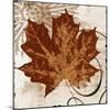 Leaf of the Day I-Michael Marcon-Mounted Art Print