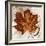 Leaf of the Day I-Michael Marcon-Framed Art Print