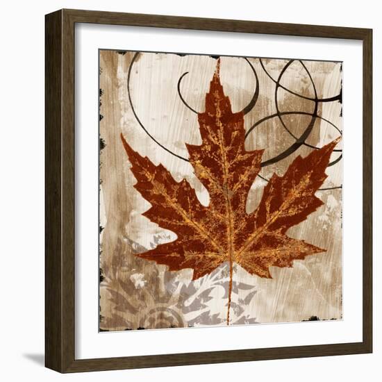 Leaf of the Day II-Michael Marcon-Framed Art Print