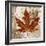 Leaf of the Day II-Michael Marcon-Framed Art Print