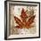 Leaf of the Day II-Michael Marcon-Framed Art Print