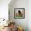 Leaf Peeper Black Bear IPA-Ryan Fowler-Framed Art Print displayed on a wall