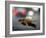 Leaf Reflections-Nicole Katano-Framed Photo