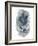 Leaf Silhouette 2-Kimberly Allen-Framed Art Print