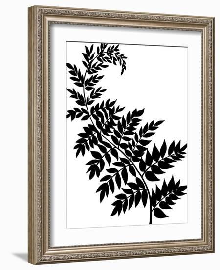 Leaf Silhouette III-Chariklia Zarris-Framed Art Print