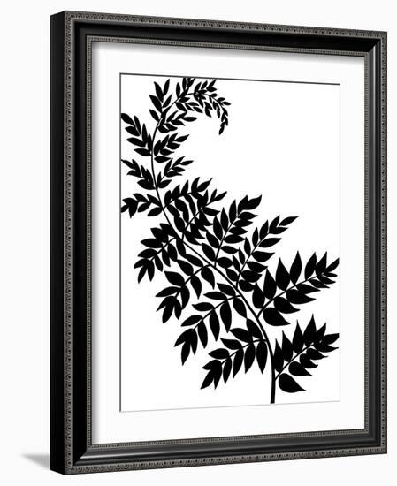 Leaf Silhouette III-Chariklia Zarris-Framed Art Print