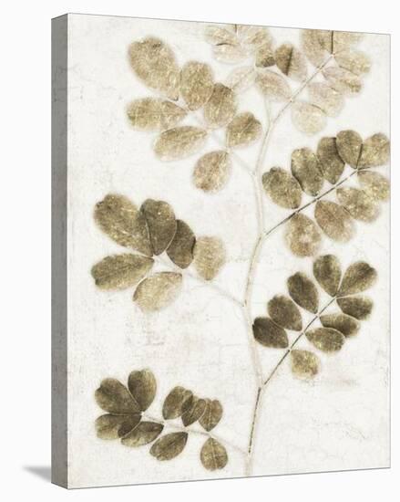 Leaf Study I-Belle Poesia-Framed Stretched Canvas