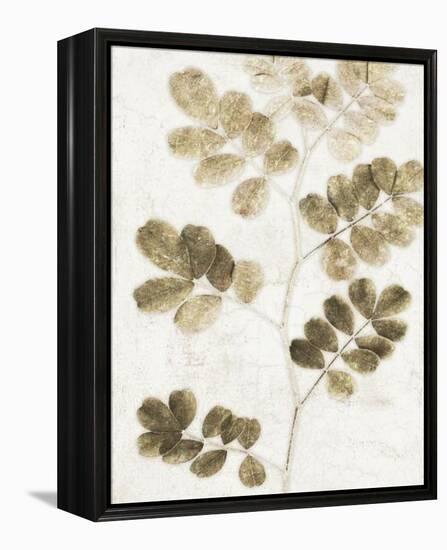 Leaf Study I-Belle Poesia-Framed Stretched Canvas